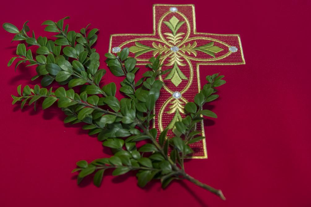 rameaux croix rouge